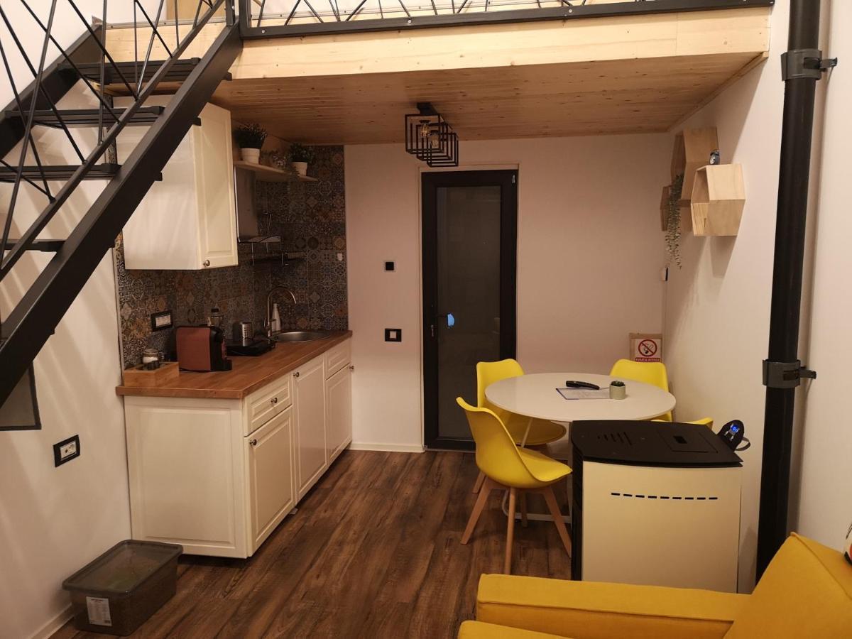 Kopel Haus - Studio - Self Acces Cod Location Balotesti Exterior photo